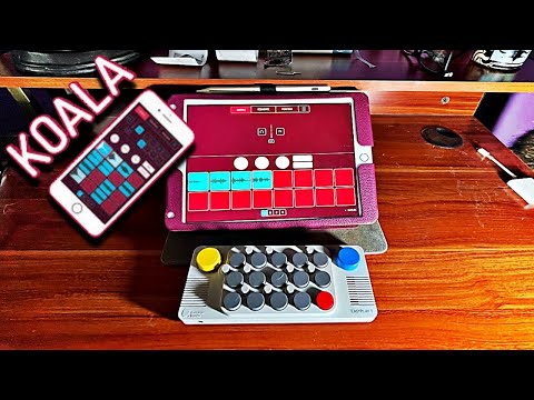 【箱あり】cubby fun Summer Tones EASYPLAY 1s EASYPLAY 1s Full Package – Cubyfun
