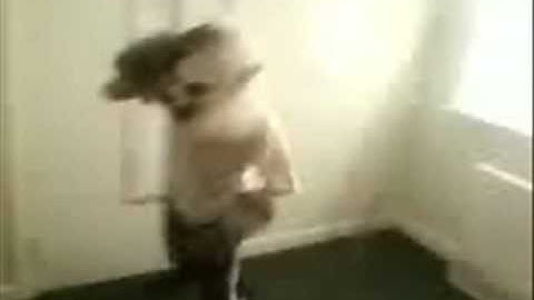 Crazy WareWolf episode 3