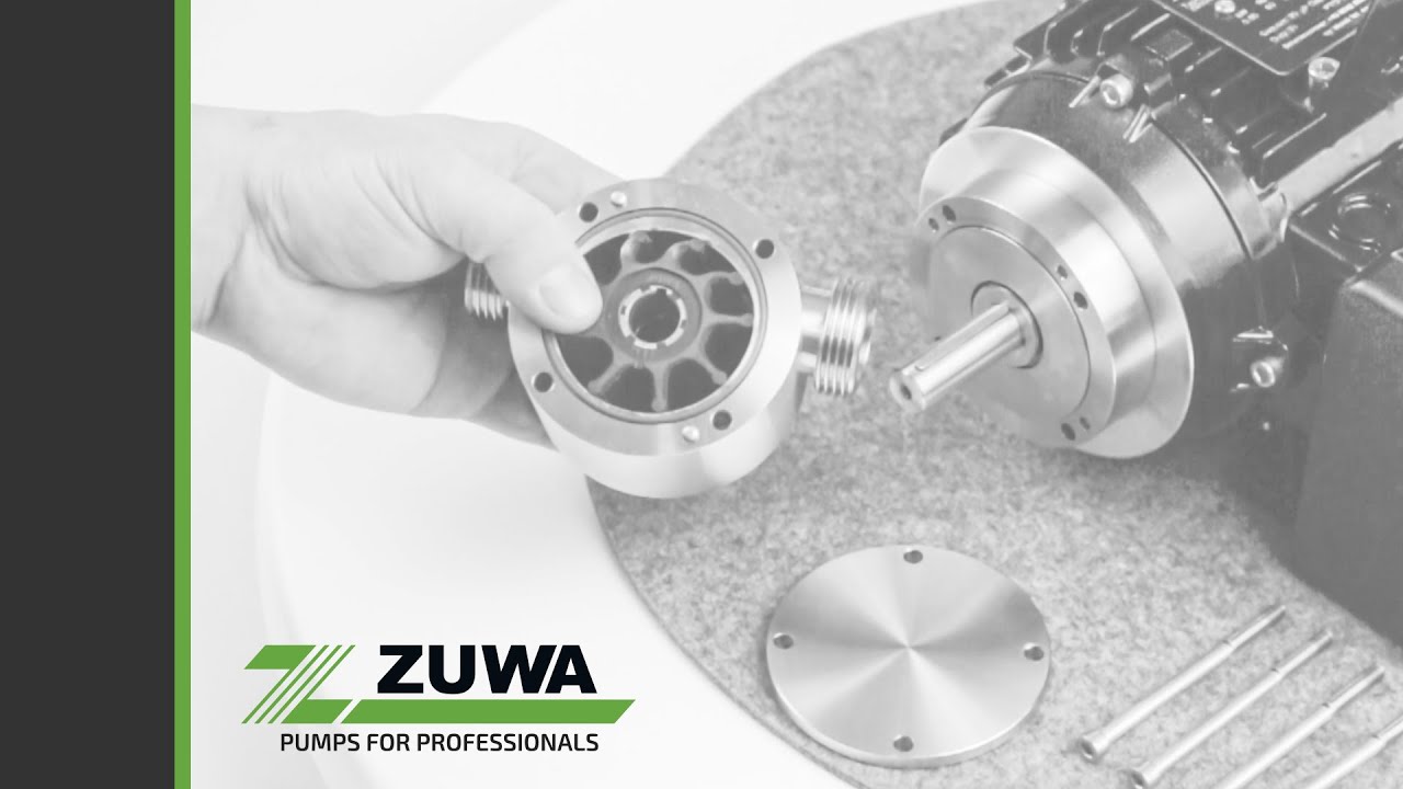 Impellerwechsel Impellerpumpe Nirostar