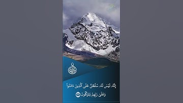 تلاوة طيبة من سورة النحل بصوت القارئ : هيثم الدخين {  فإذا قرأت القرآن فاستعذ بالله من الشيطان }