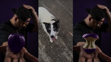 1upwhatup - Brady (Skit #1) [Official Video]