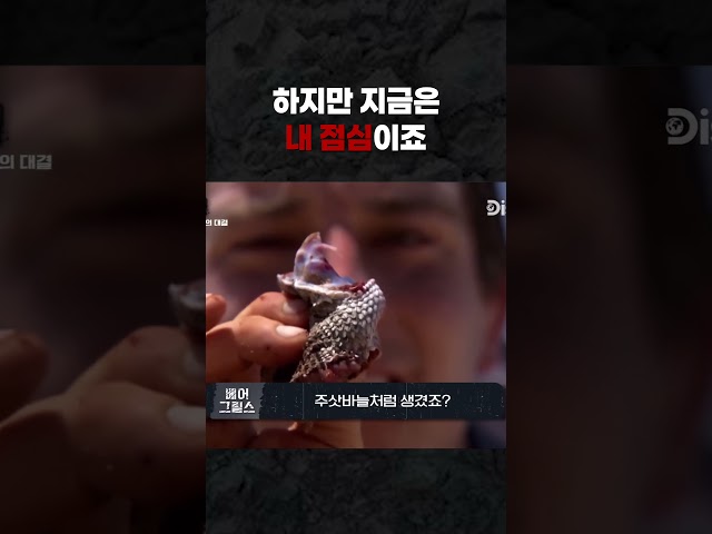 하지만 지금은 내 점심이죠