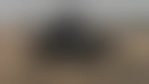 تزاوج الحيونات هتضحك غصب عنك تزاوج الحيونات هتضحك غصب عنك