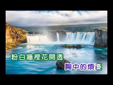 費玉清 ~ 我在你左右