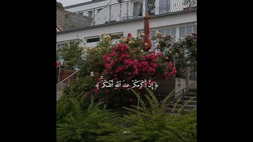 یَـٰۤأَیُّهَا ٱلنَّاسُ إِنَّا خَلَقۡنَـٰكُم || تلاوة هادئة لفضيلة الشيخ الوليد الشمسان #دار_المتقين🤍