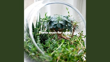 Successful Ambiance for Brave Keynotes