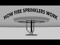 How fire sprinkler systems work (3D Animation)