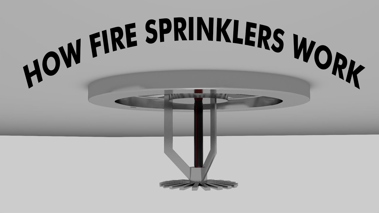 How fire sprinkler systems work (3D Animation)