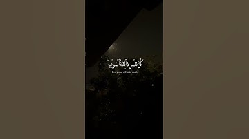 كل نفس ذائقة الموت || عبد الرحمن مسعد _سورة العنكبوت