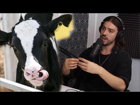 Where Does Your Milk Come From? | Earthling Ed