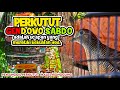 Suara Perkutut Si Pemikat Gendowo Sabdo