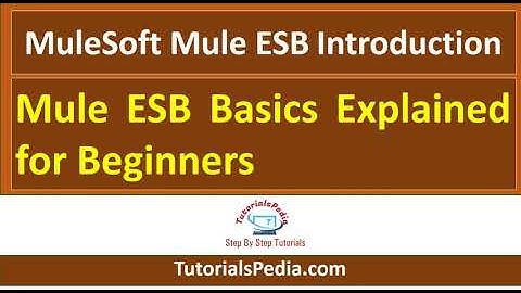MuleSoft Mule ESB Introduction | Mule ESB Basics Explained for Beginners | What is MuleSoft ESB