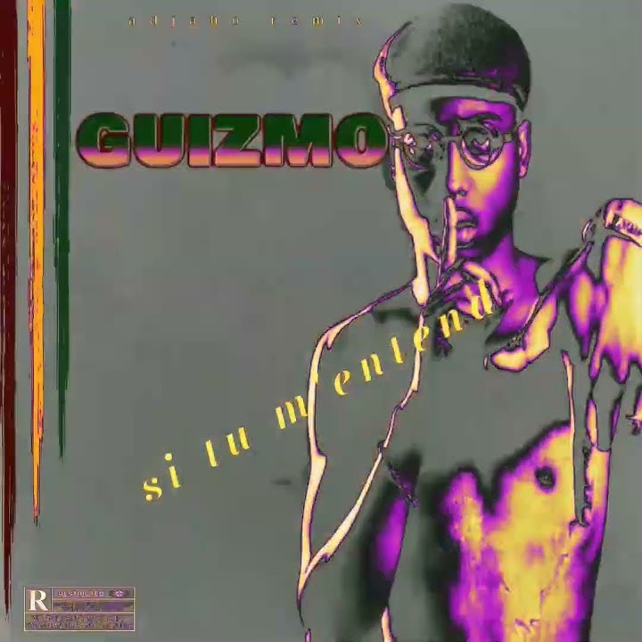 Guizmo-si tu m'entends (remix)💚💛❤ mashup reggae 2024   #reggae #guizmo #2024mashup #remix
