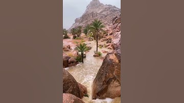 تلاوة رائعة والله يدعو إلى دار السلام