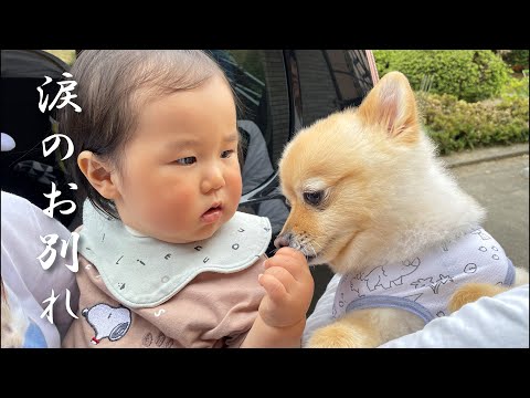 大好きな赤ちゃんとお別れの日がやってきました…