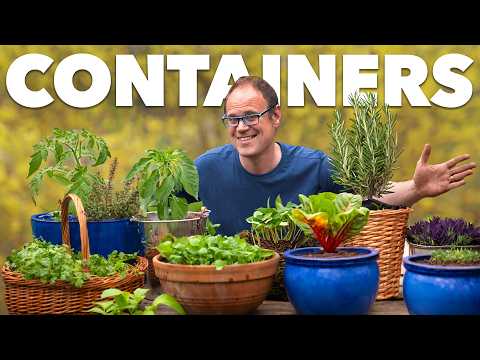 How I Helped My Neighbor Create a Container Garden From Scratch