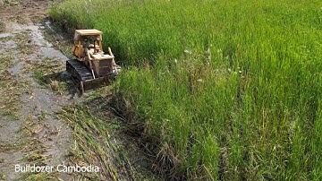 Dozer Kumat’su push forest Small and work fast to build high-rise buildings and split plots for sale