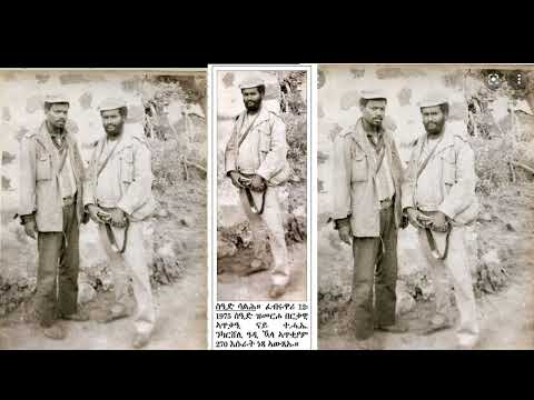 Eritrea Saho Music Shahid Pictures Said Salih And Kebrom Tuluk