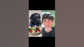 #pov Everyone has a certain amount of time where they can’t move…PT.3 #devincaherly