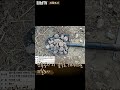 영종도 상가주택 신축 전 지질조사 표준관입시험 영상  #shorts