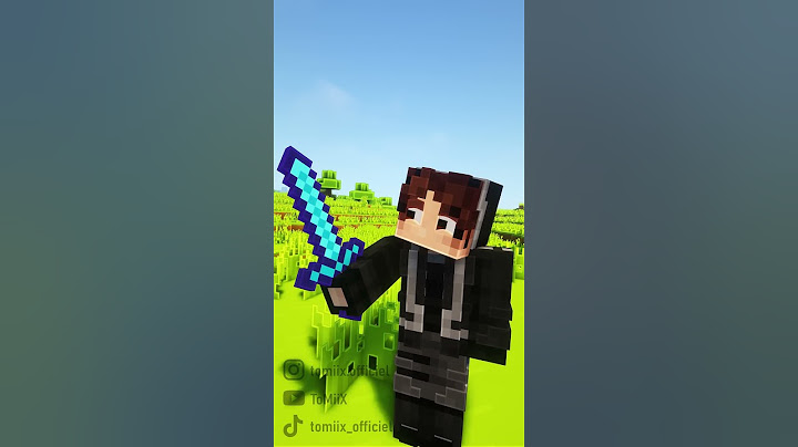 Ce pote qui aime trop les mods sur Minecraft
