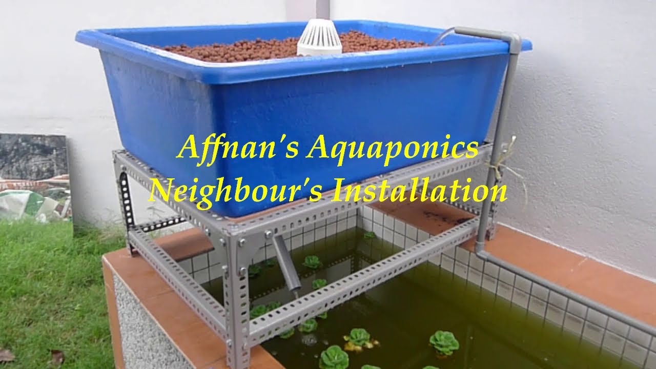 Affnan's Aquaponics - Neighbour's Aquaponics Installation - YouTube