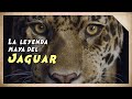 ASOMBROSA Leyenda Maya L Las MISTERIOSAS Manchas Del Jaguar L Relatos Aluxinantes mp3