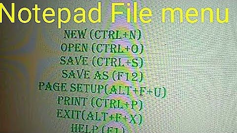 (Class-9)explain file menu commands in notepad with shortcut keys and explain help or window button.
