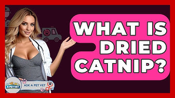 What Is Dried Catnip? - Ask A Pet Vet