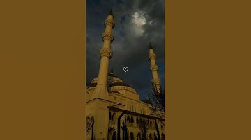 قرآن كريم ارح سمعك♡|   أكتب شيء تؤجر عليه♥︎