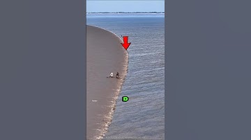 Is This a Matrix Glitch 🤯