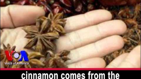 Kitchen Chemistry: The Science of Herbs and Spices