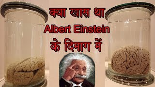 Albert Einstein s Brain