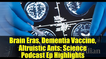 Brain Eras, Dementia Vaccine, Altruistic Ants: Science Podcast Ep Highlights