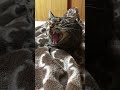 まる君。^ ^