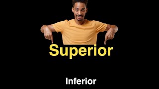 Superior and Inferior