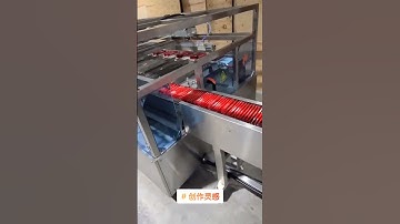 Automatic Cartoning Packaging Machine for Chocolate Cracker