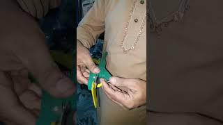 Ear Tag Applicator And Ear Tags