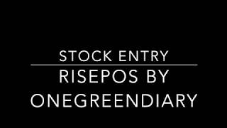 Stock Entry Tutorial RisePOS by OneGreenDiary