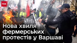 🔴 Вважають, що українське зерно лише для свиней! Польські фермери знову протестують