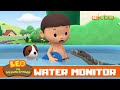 Is This A Baby Water Monitor Lizard Or A Crocodile?|Leo the Wildlife Ranger|For Kids|@Mediacorp okto