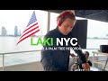 Laki nyc with deep root  palm tree records