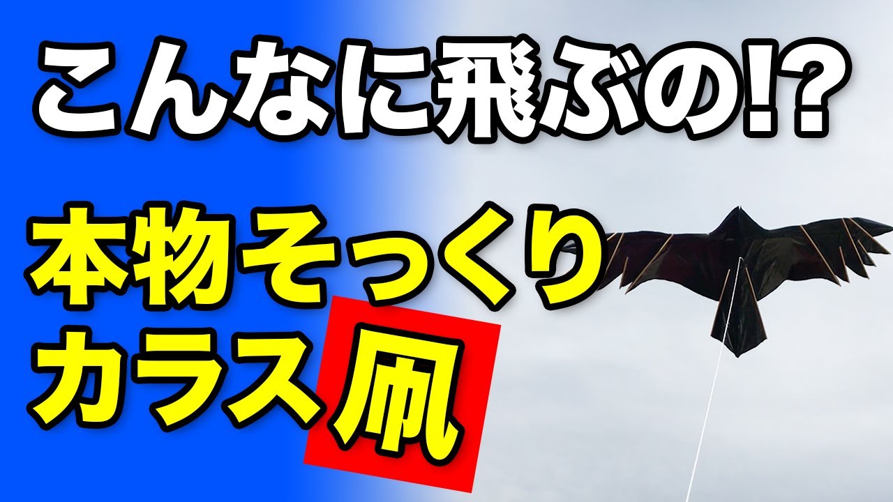本物みたいに羽ばたくカラス凧を作って飛ばす！作り方から飛ばすまで