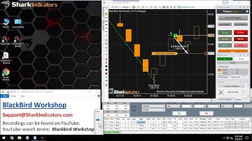 BlackBird Workshop - Adjusting the Quick List ‘Previous Bar Low/High (Trailing)’ Stop-loss