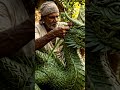Old Man Creates a Dragon from Coconut Leaves 😱🐉 II AI Story