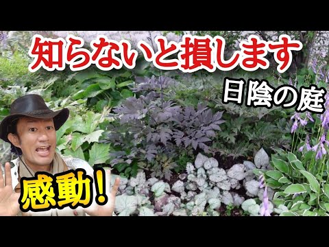 日陰の庭のお手本です 園芸店長が日陰のお庭の見本 萌木の村のポールスミザーの庭を解説します ガーデニングに悩む方必見です Japan Garden Youtube