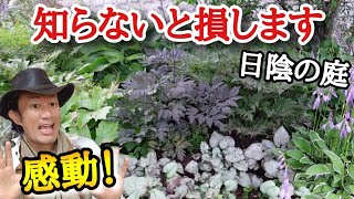 日陰の庭のお手本です 園芸店長が日陰のお庭の見本 萌木の村のポールスミザーの庭を解説します ガーデニングに悩む方必見です Japan Garden Youtube