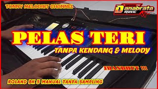 PELAS TERI//TANPA KENDANG & MELODY//KARAOKE NADA CEWEK//ROLAND BK 5 NO SAMPLING