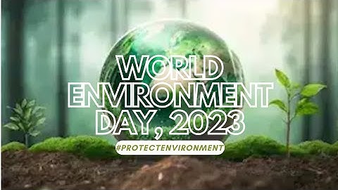World Environment Day 2023: Let
