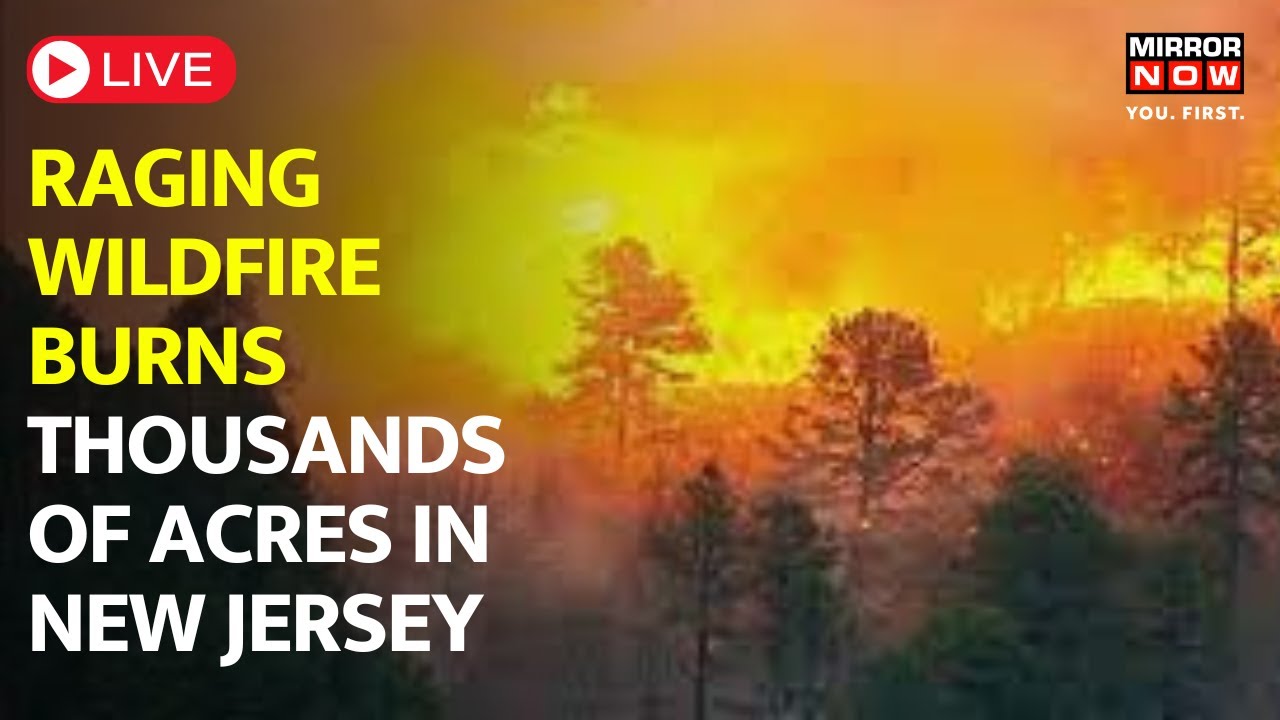 New Jersey Wildfire News Live Wildfire Destroys Over 3000 Acres